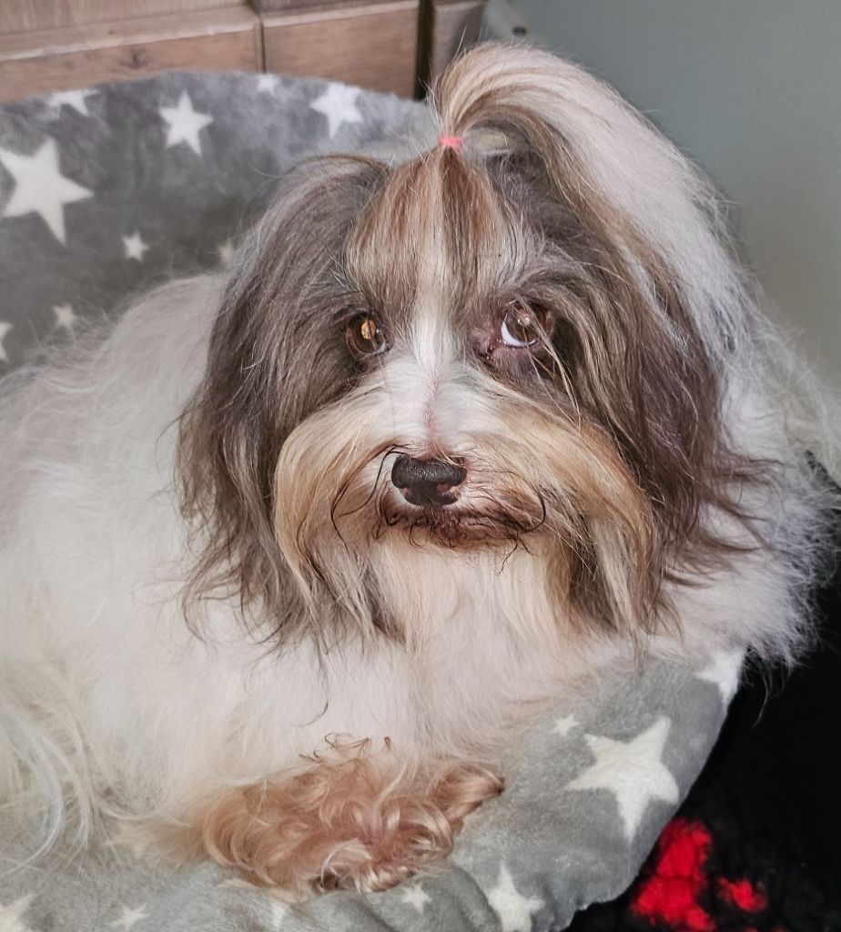 Neekee'mee de la vallée du rêve